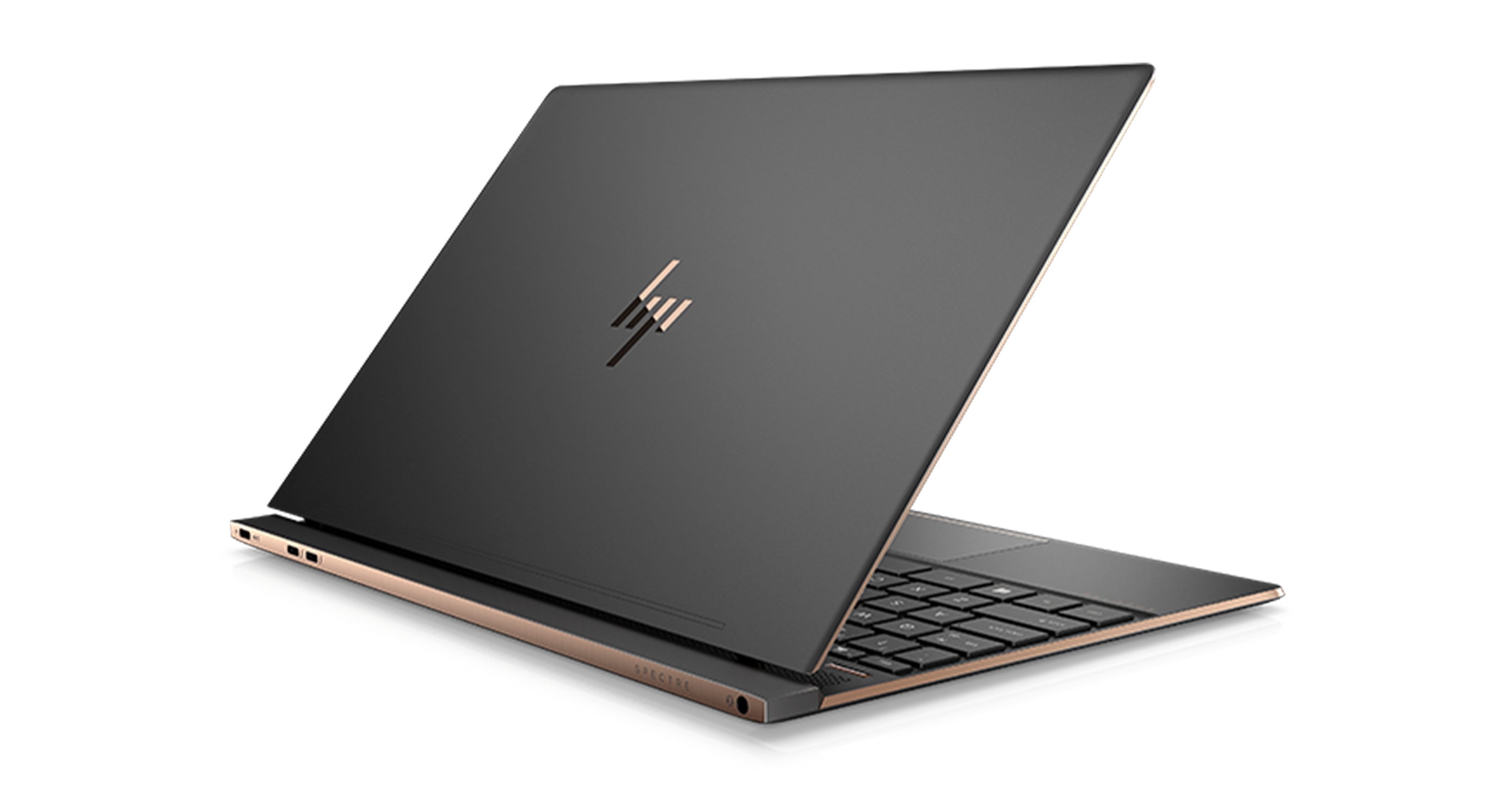 computer system for rental